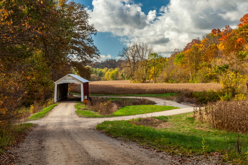 Harry Evans Covered Bridge in Fall